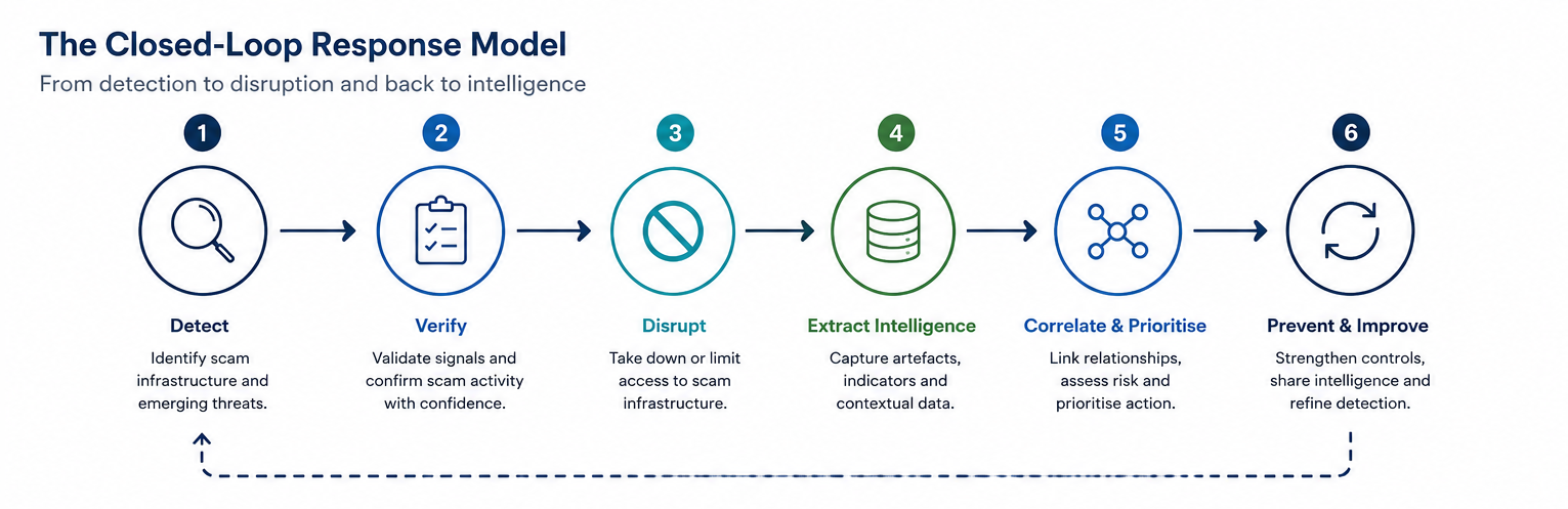 Circular six-stage scam response model connecting detection, verification, disruption and intelligence reuse.